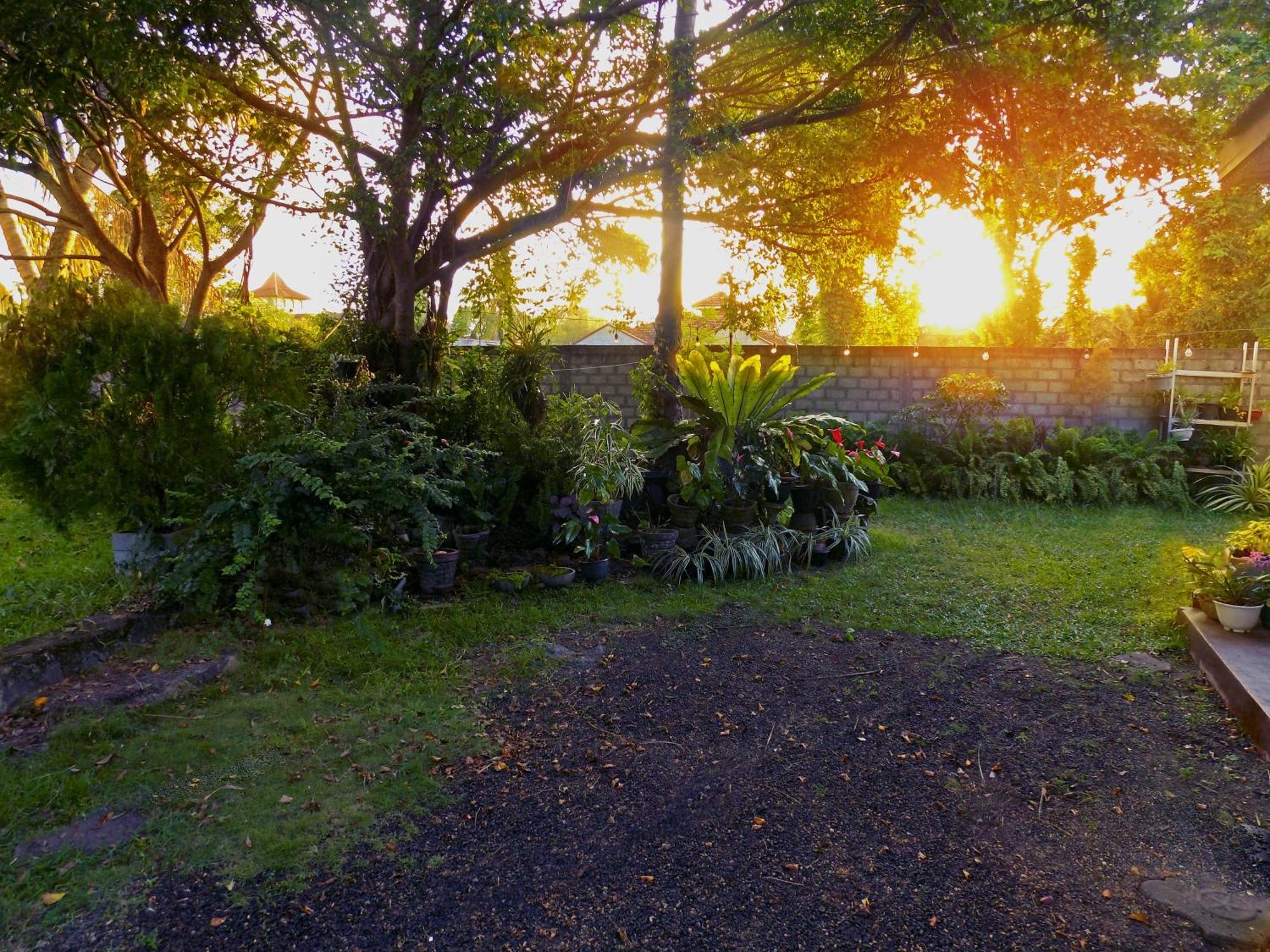 Coco Negombo