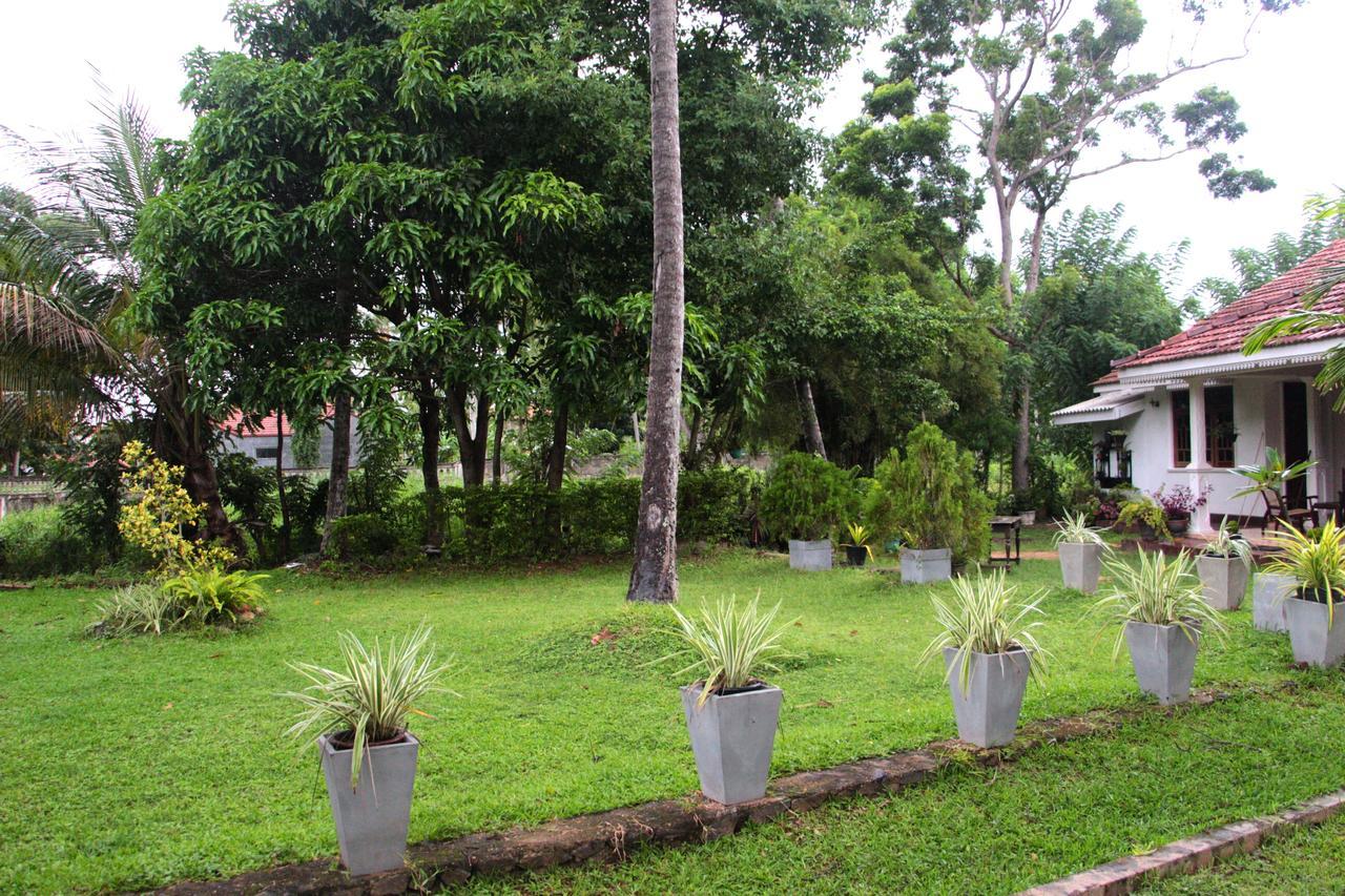 Coco Negombo