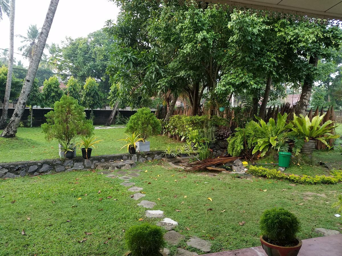 Coco Negombo