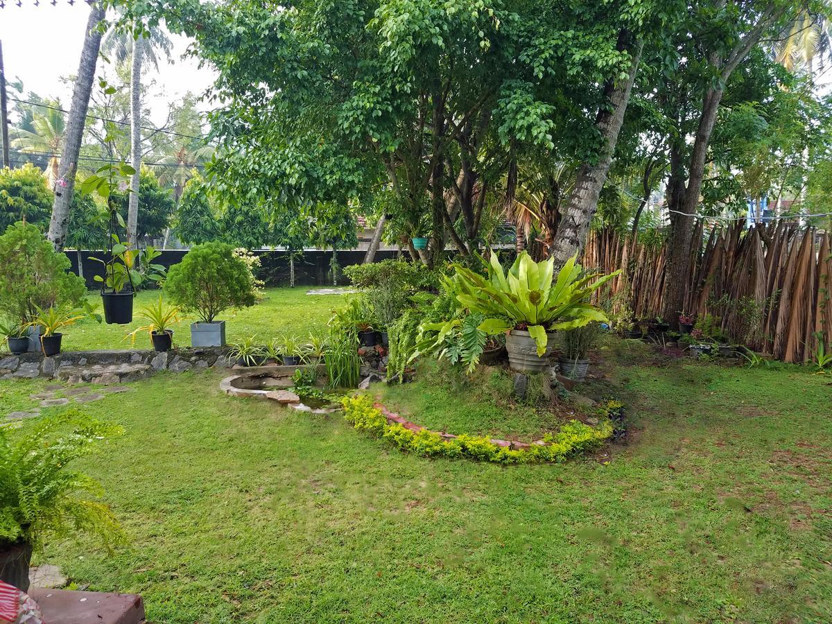 Coco * Negombo
